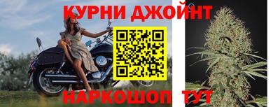 прущие грибы Лесосибирск