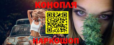 прущие грибы Лесосибирск