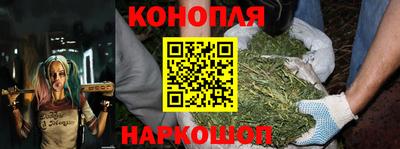 прущие грибы Лесосибирск