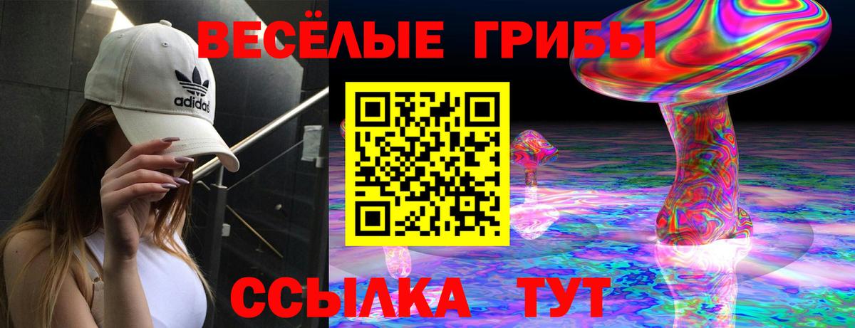 Галлюциногенные грибы GOLDEN TEACHER Чехов