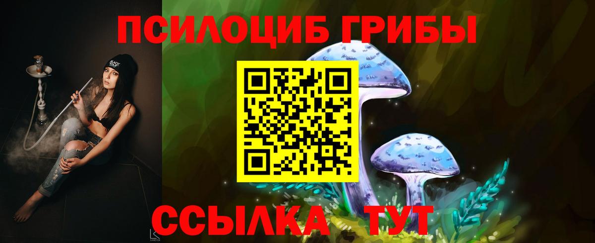 Псилоцибиновые грибы мухоморы  Вход с VPN  Чехов  Псилоцибиновые грибы прущие грибы 